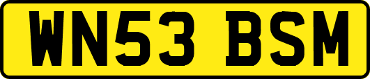 WN53BSM