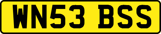 WN53BSS