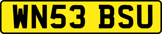 WN53BSU