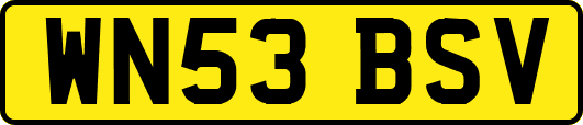 WN53BSV