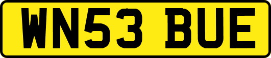 WN53BUE