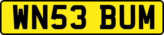 WN53BUM