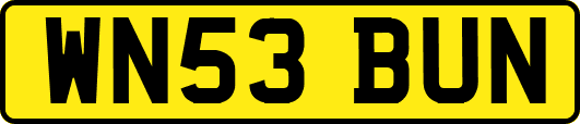 WN53BUN