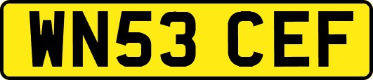 WN53CEF