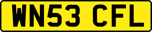 WN53CFL