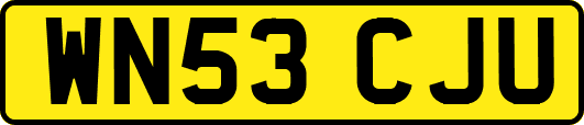 WN53CJU
