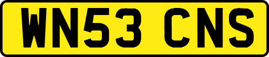 WN53CNS