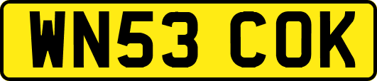 WN53COK