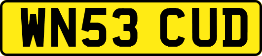 WN53CUD