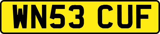 WN53CUF