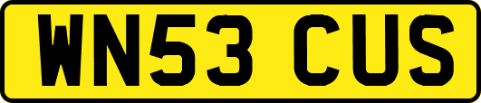 WN53CUS