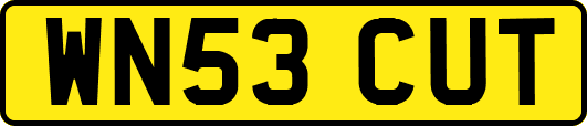 WN53CUT
