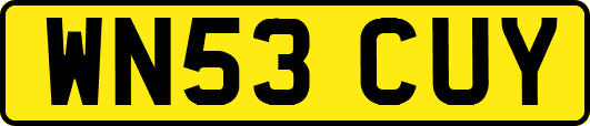 WN53CUY