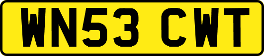 WN53CWT