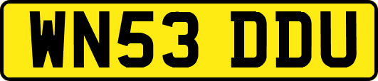 WN53DDU