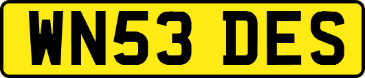 WN53DES