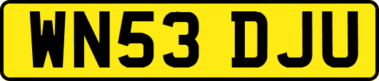 WN53DJU