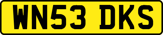 WN53DKS