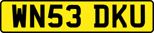 WN53DKU