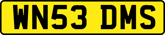 WN53DMS