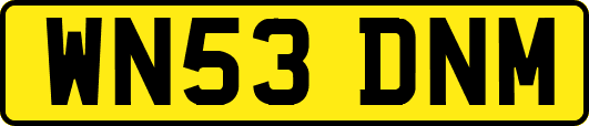 WN53DNM