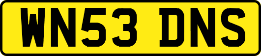 WN53DNS