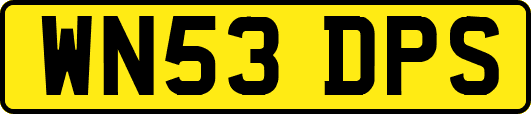 WN53DPS
