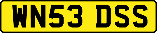 WN53DSS
