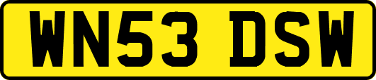 WN53DSW