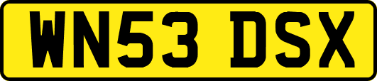WN53DSX