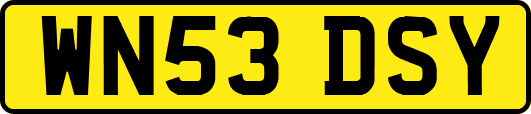 WN53DSY