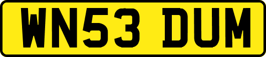 WN53DUM