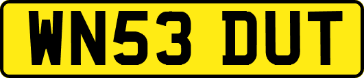 WN53DUT