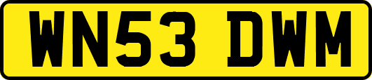 WN53DWM