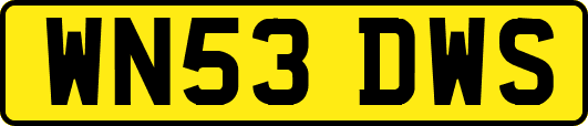 WN53DWS
