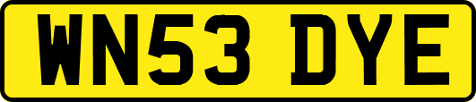 WN53DYE