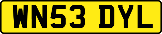 WN53DYL