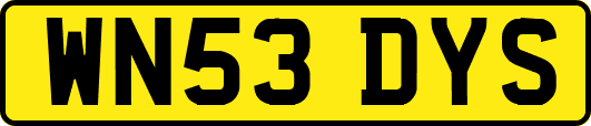 WN53DYS