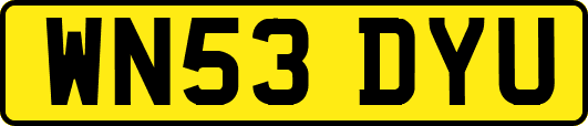 WN53DYU