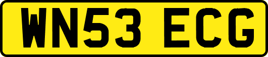 WN53ECG
