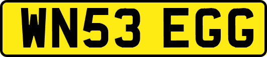 WN53EGG