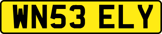 WN53ELY
