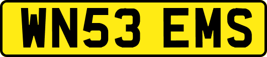 WN53EMS