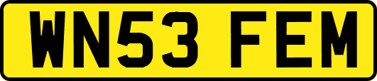 WN53FEM