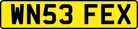 WN53FEX