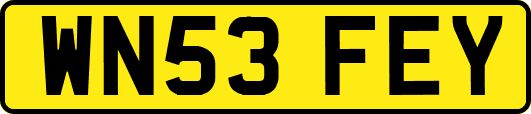 WN53FEY