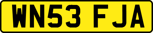 WN53FJA