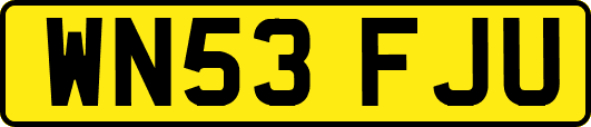 WN53FJU