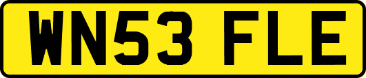 WN53FLE