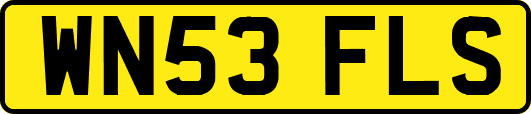 WN53FLS